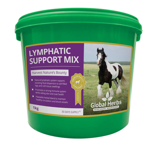 Lymphatic Support Mix - Global Herbs