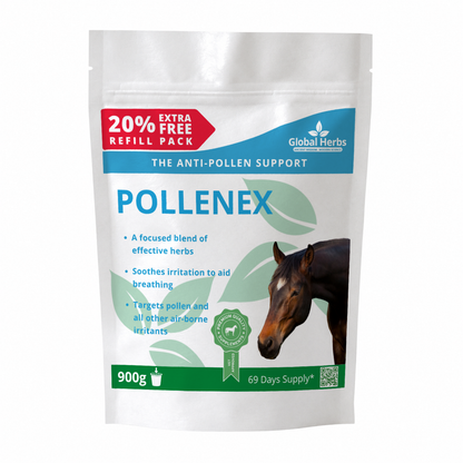 Pollenex Refill Pouch 750g - Global Herbs