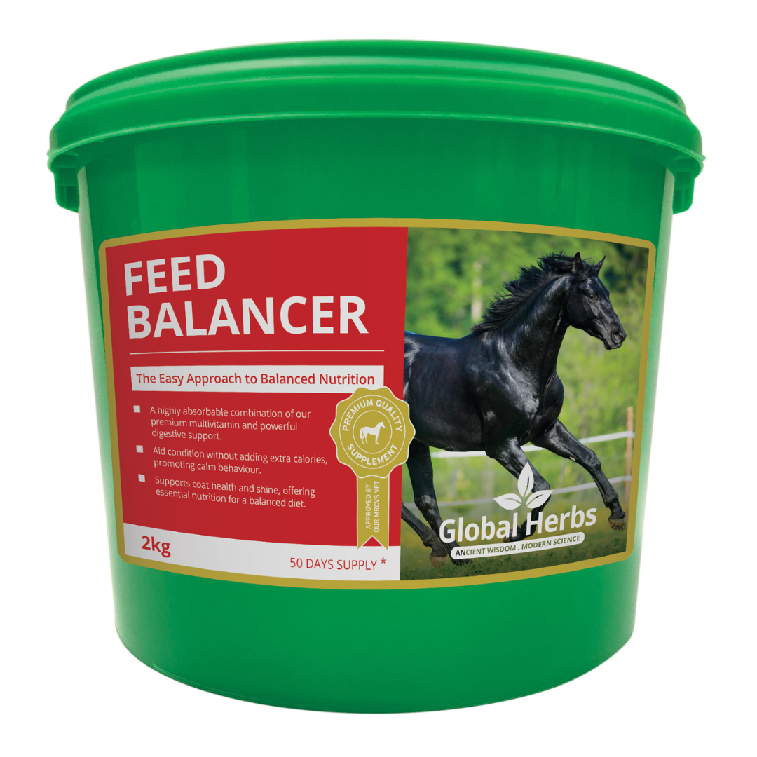 Feed Balancer 2kg - Global Herbs