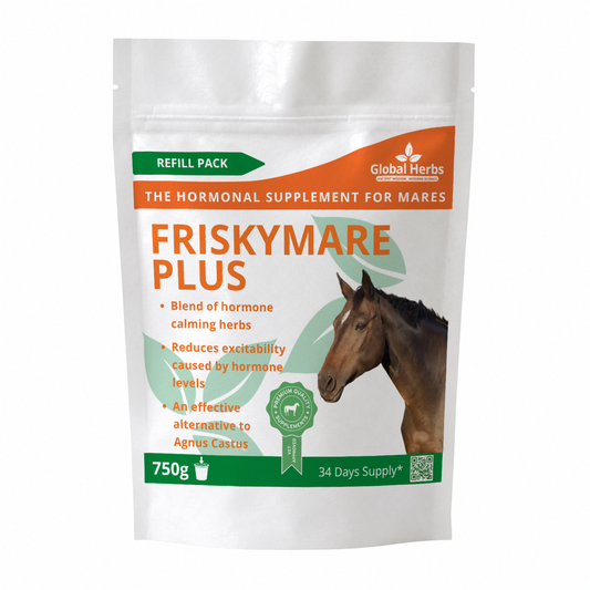 Friskymare Plus Refill Pouch 750g- Global Herbs