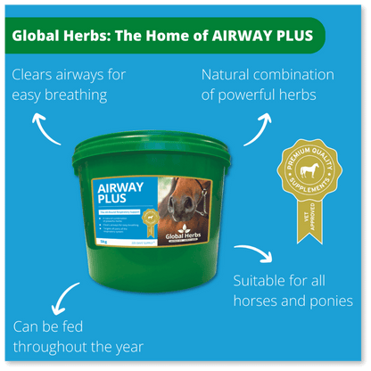 Airway Plus Powder - Global Herbs