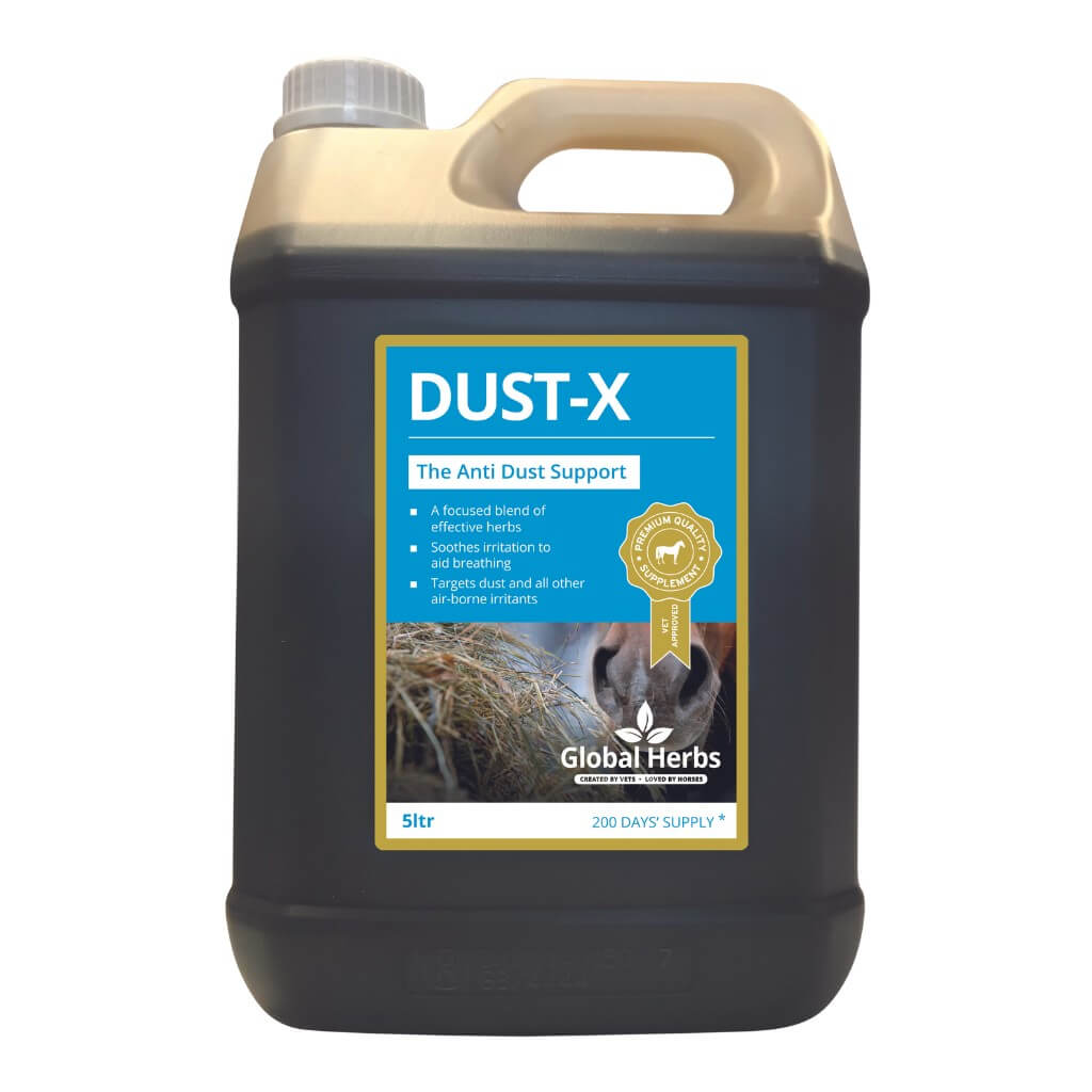 Dust-X - Equine