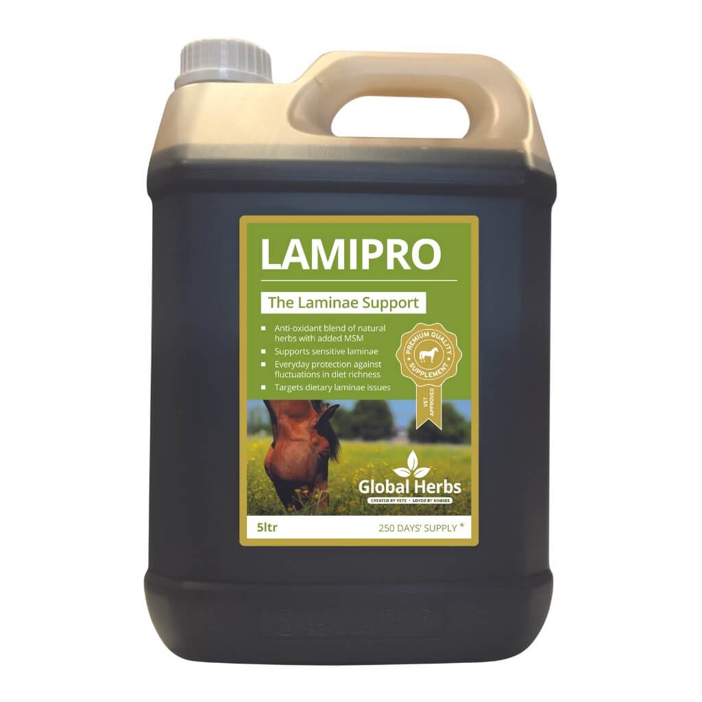 LamiPro liquid - Equine