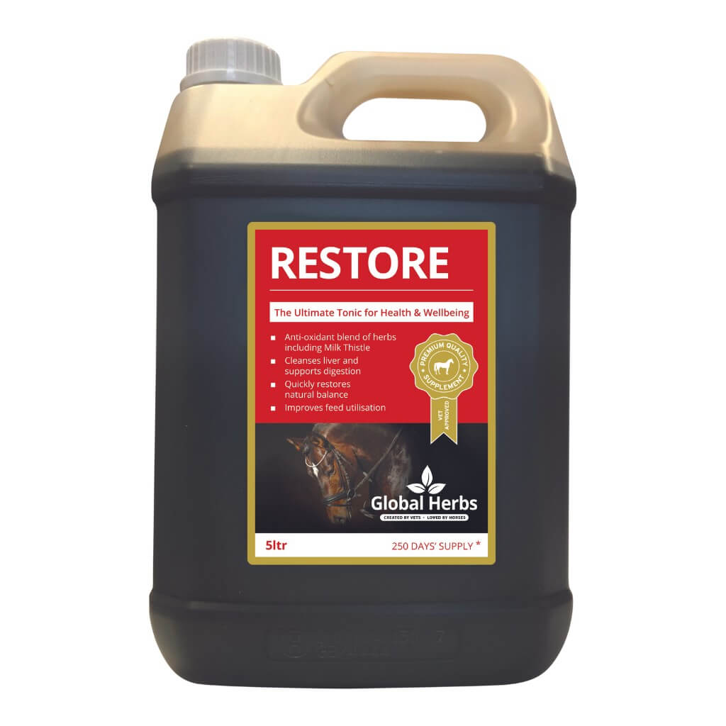 Restore liquid - Equine