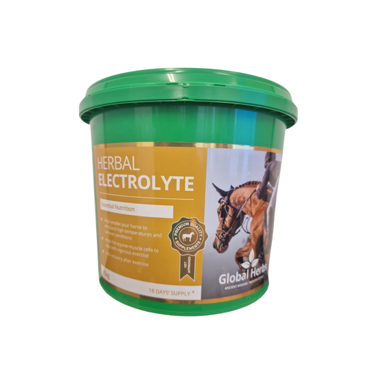 Herbal Electrolyte 1kg - Global Herbs